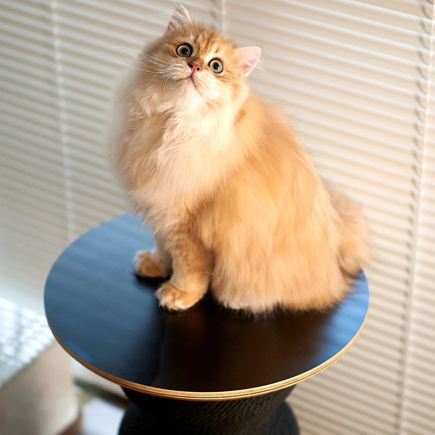 Coral Scratch Table | Individual Tabletop