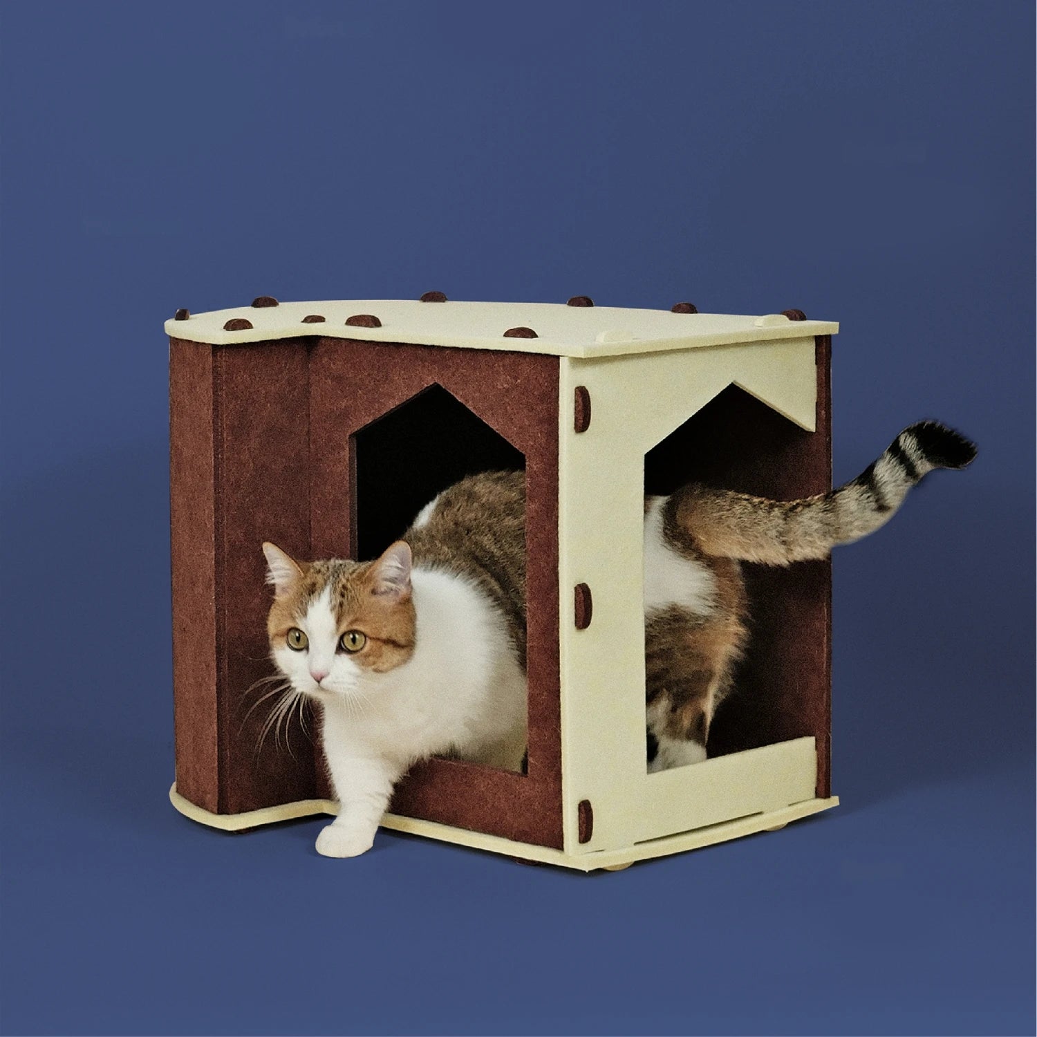 COMMA | Premium Felt Cat Tunnel