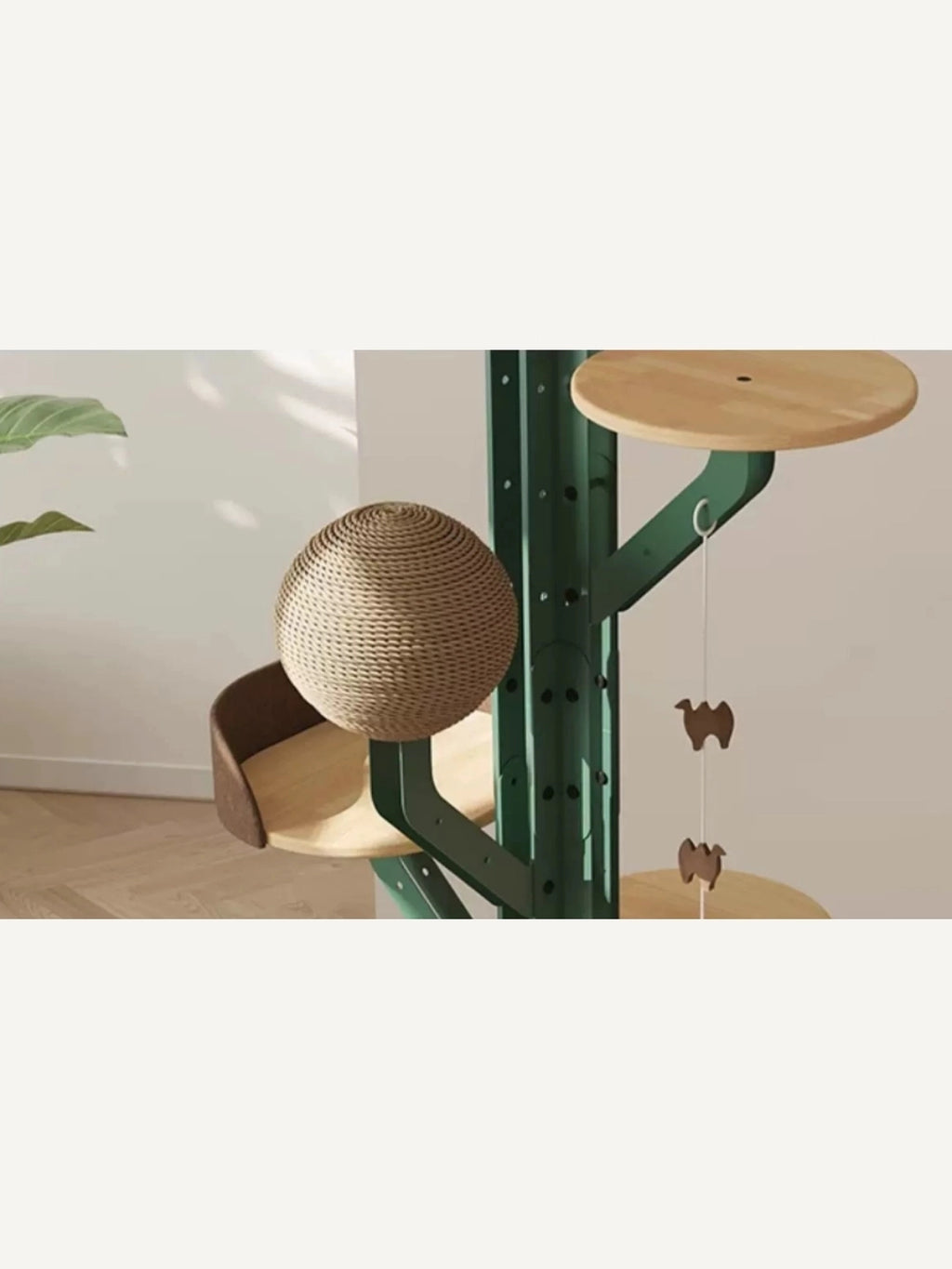 Cactus Climb
