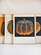 Pumpkin Series Cat Scratch Board