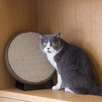 Mooncake Cat Scratch Pad