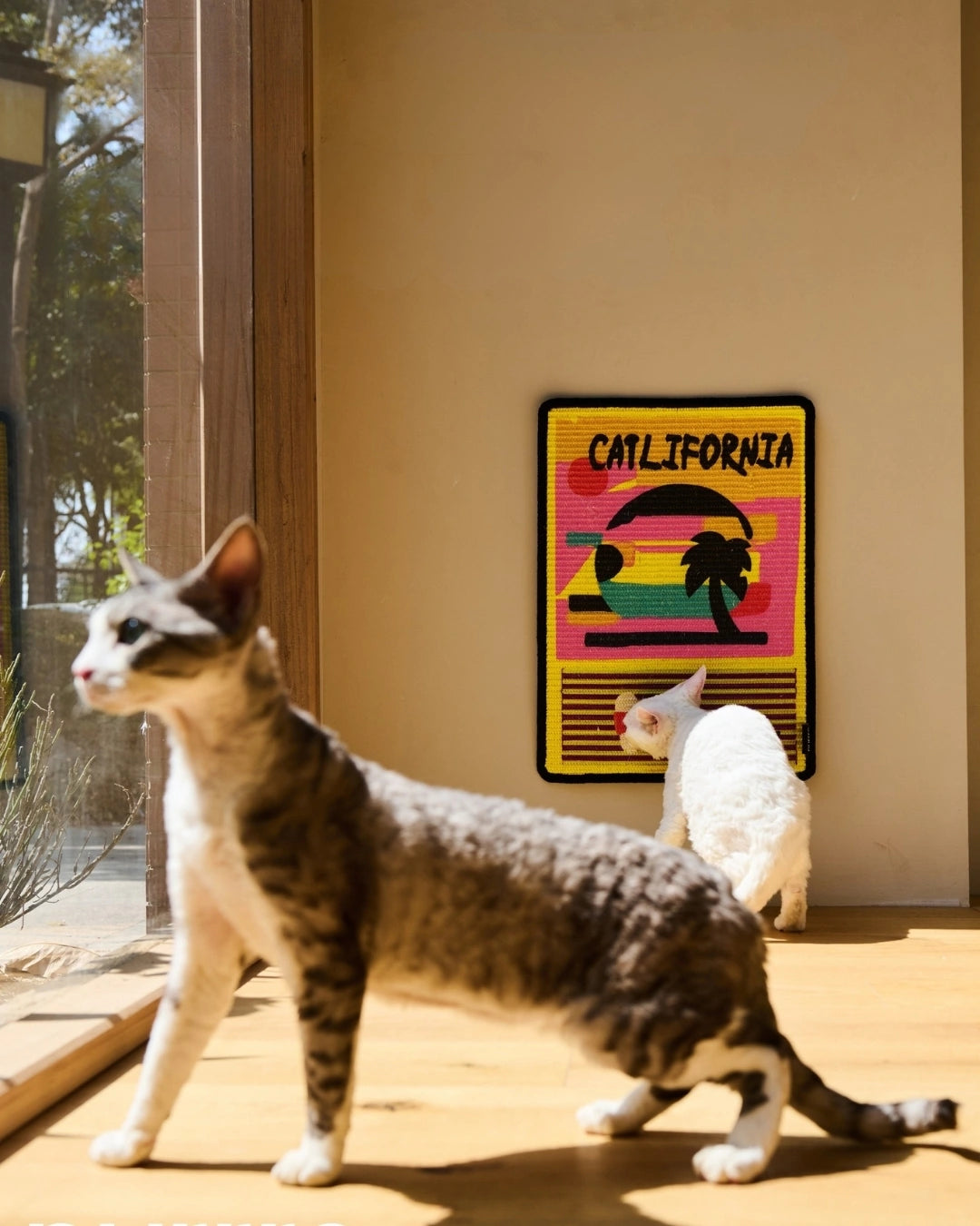 CLAW MoMA Scratch Mat