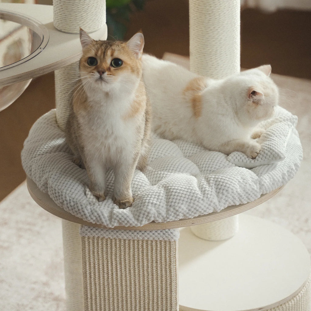 Mousse Cloud Tower