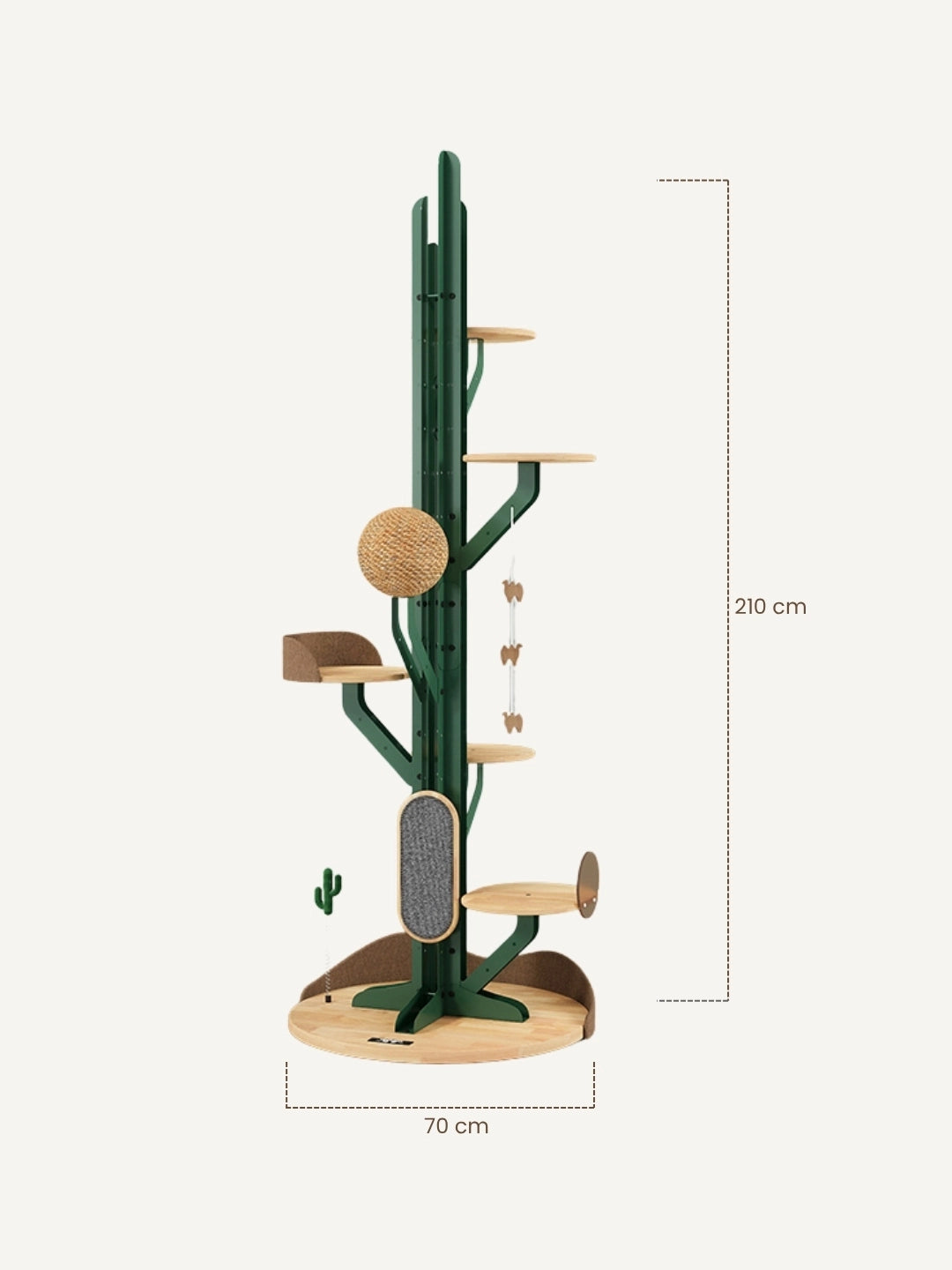 Cactus Climb