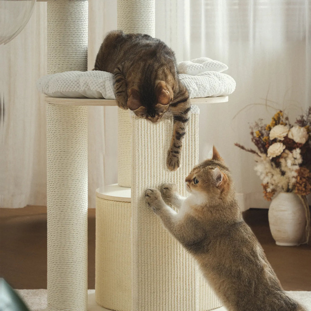 Mousse Cloud Tower