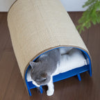 Cat's Nest Tunnel