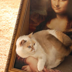 Meow Art Collection | Mona Lisa Scratcher