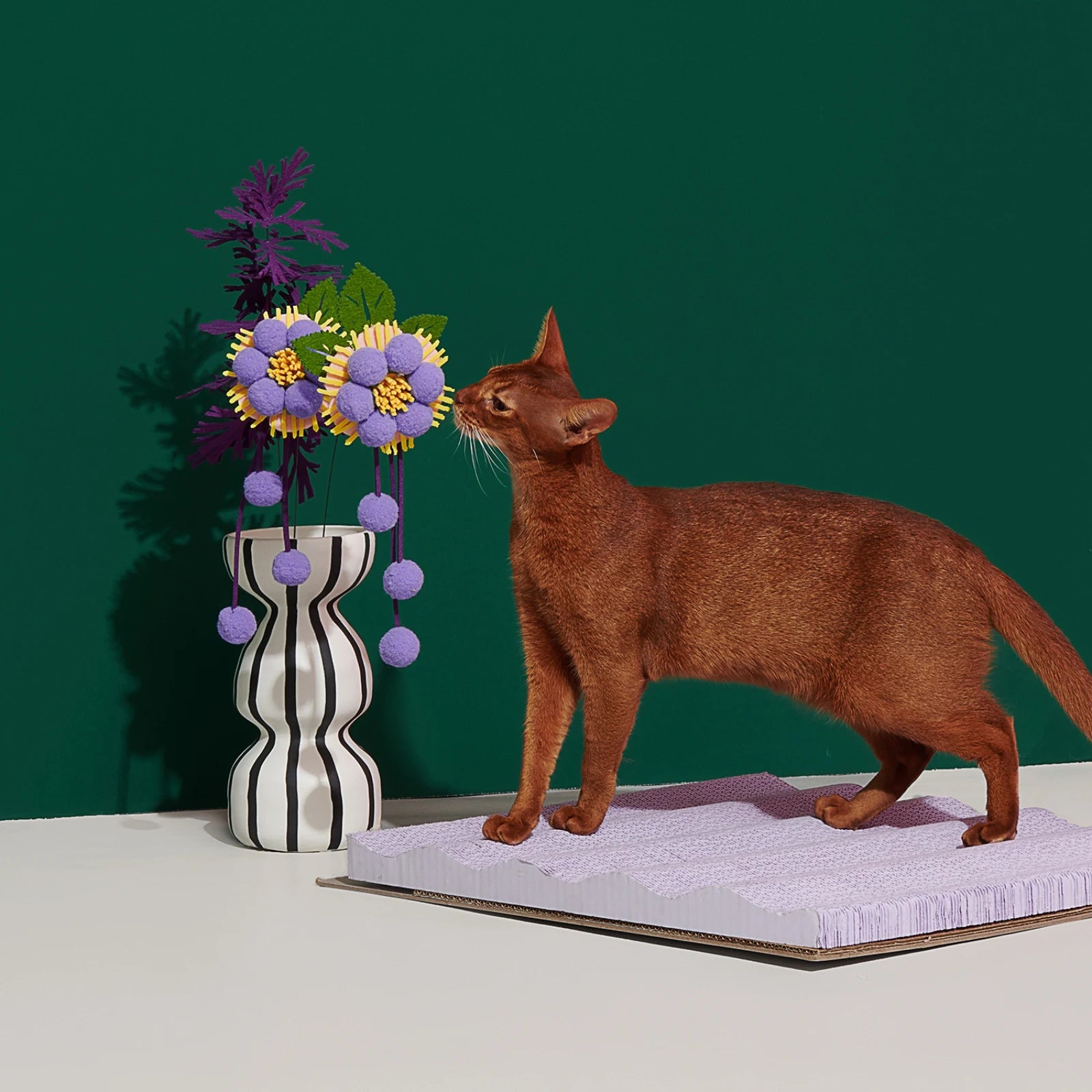 Blooming Cat Teaser Complete set