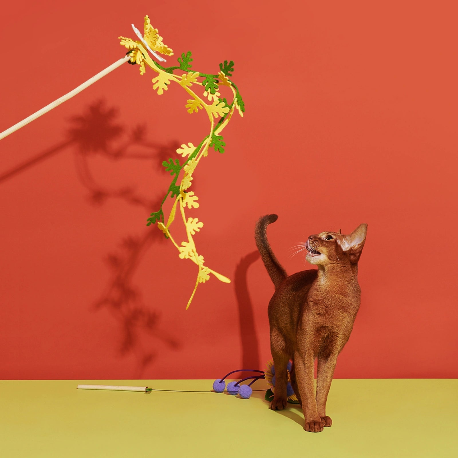 Dancing Flake | Blooming Cat Teaser Collection