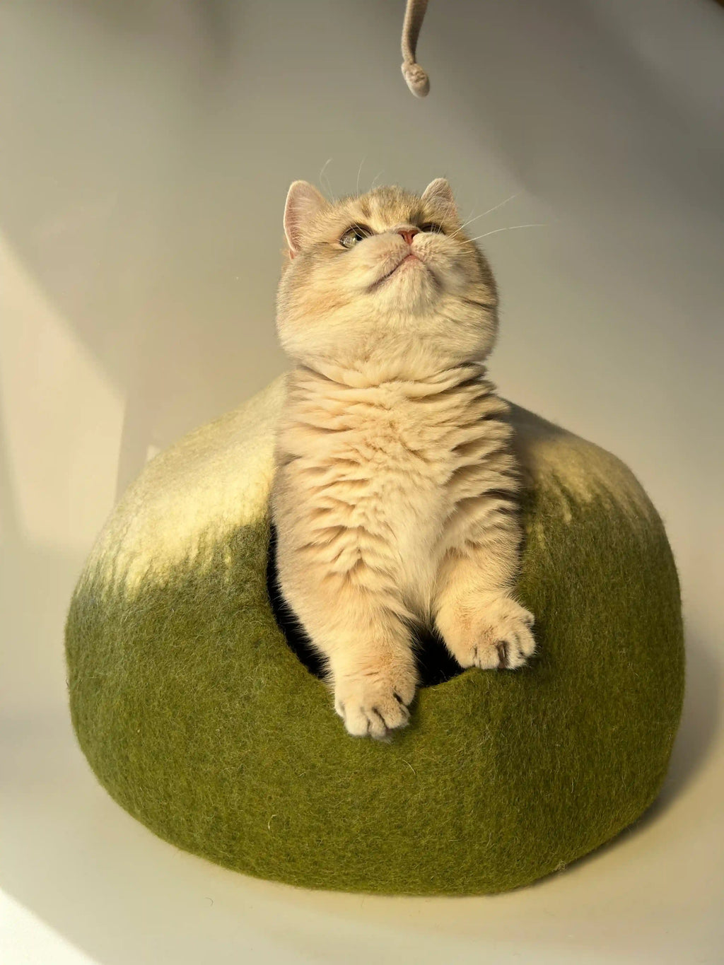 Matcha Mochi | Natural Wool Felt Cat Cave
