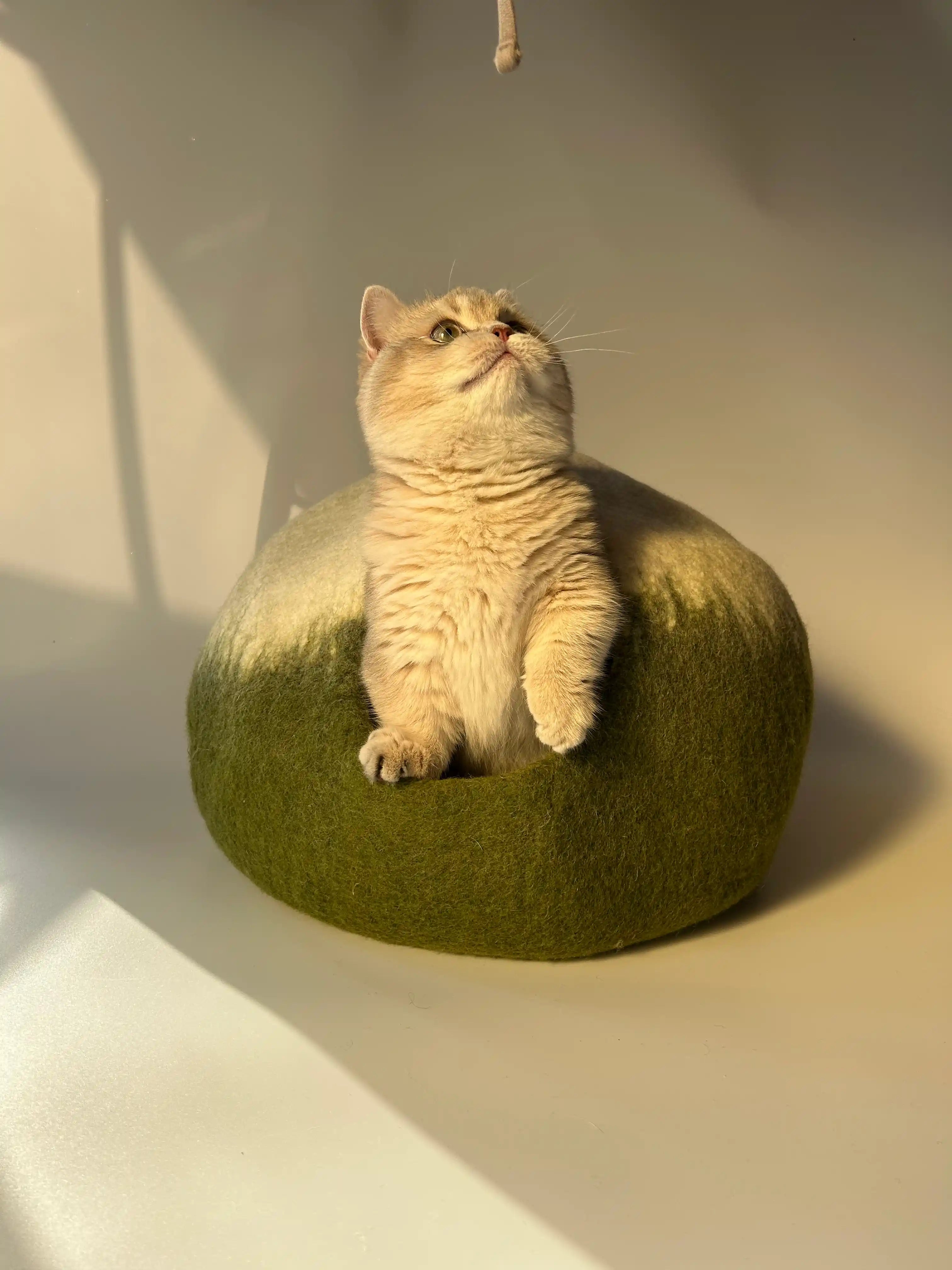 Matcha Mochi | Natural Wool Felt Cat Cave