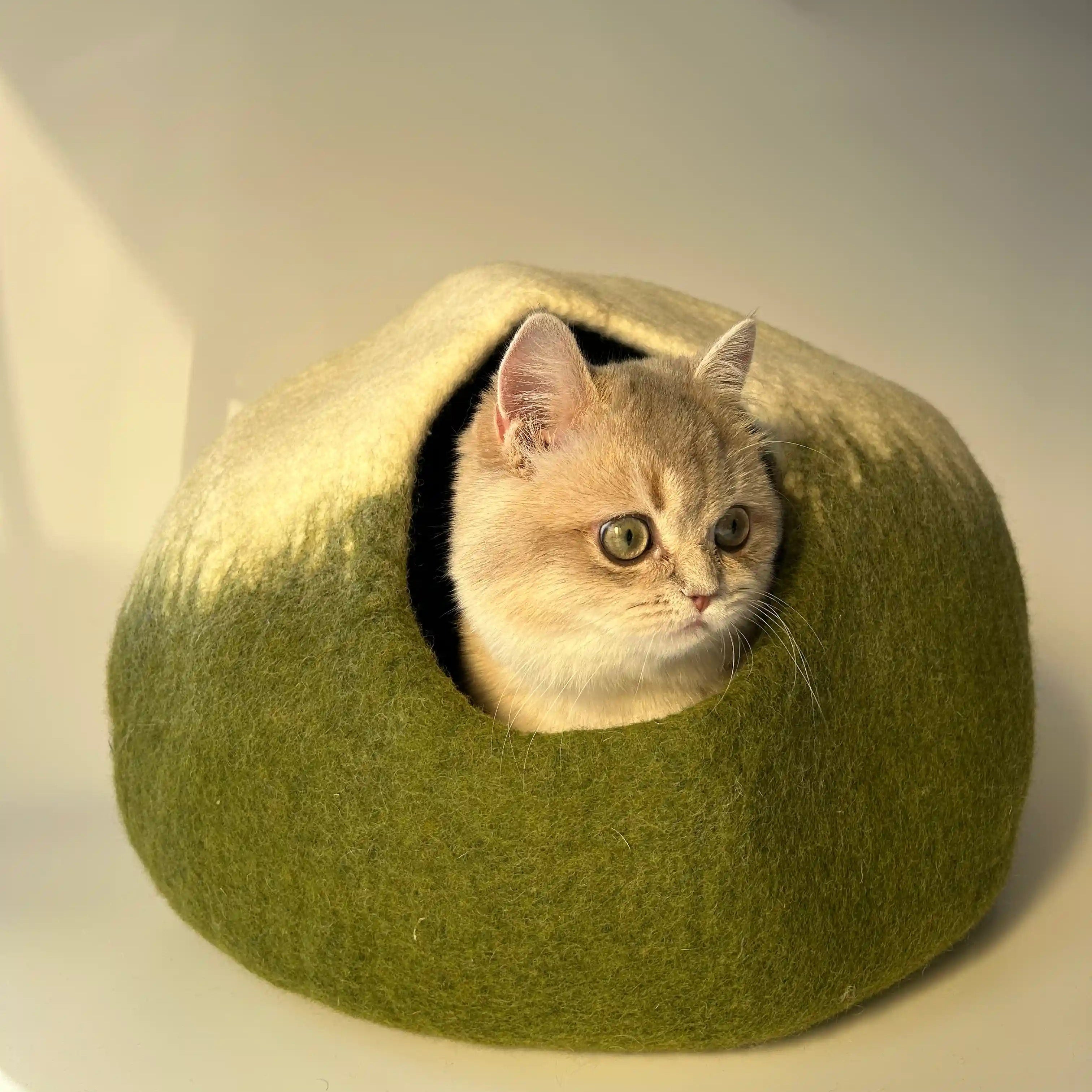 Matcha Mochi | Natural Wool Felt Cat Cave