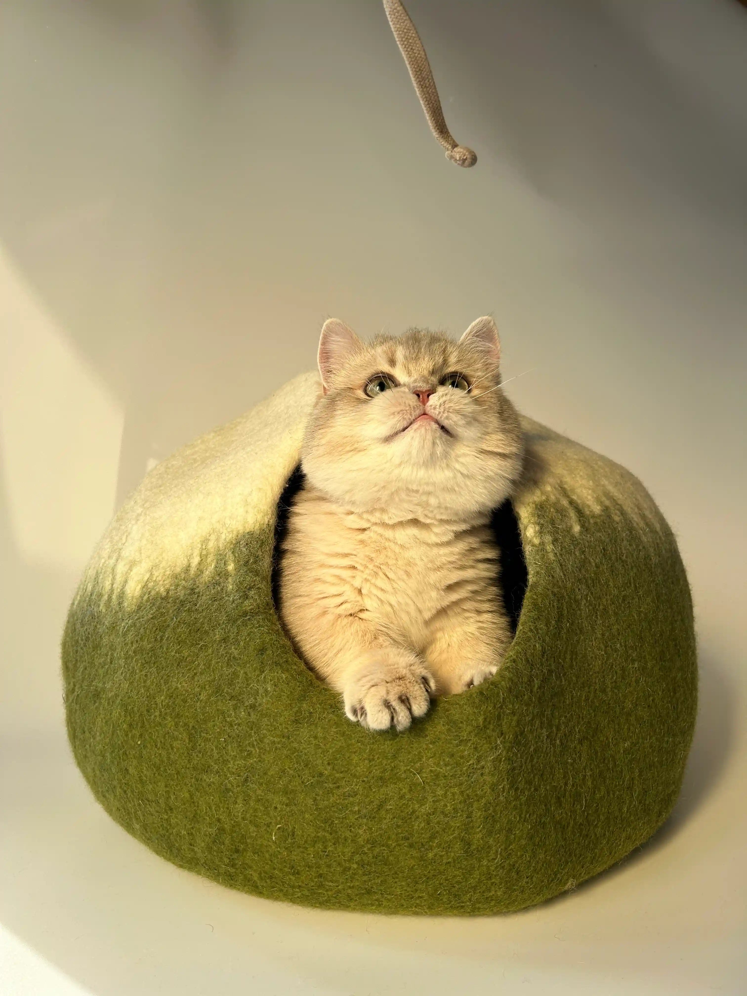 Matcha Mochi | Natural Wool Felt Cat Cave