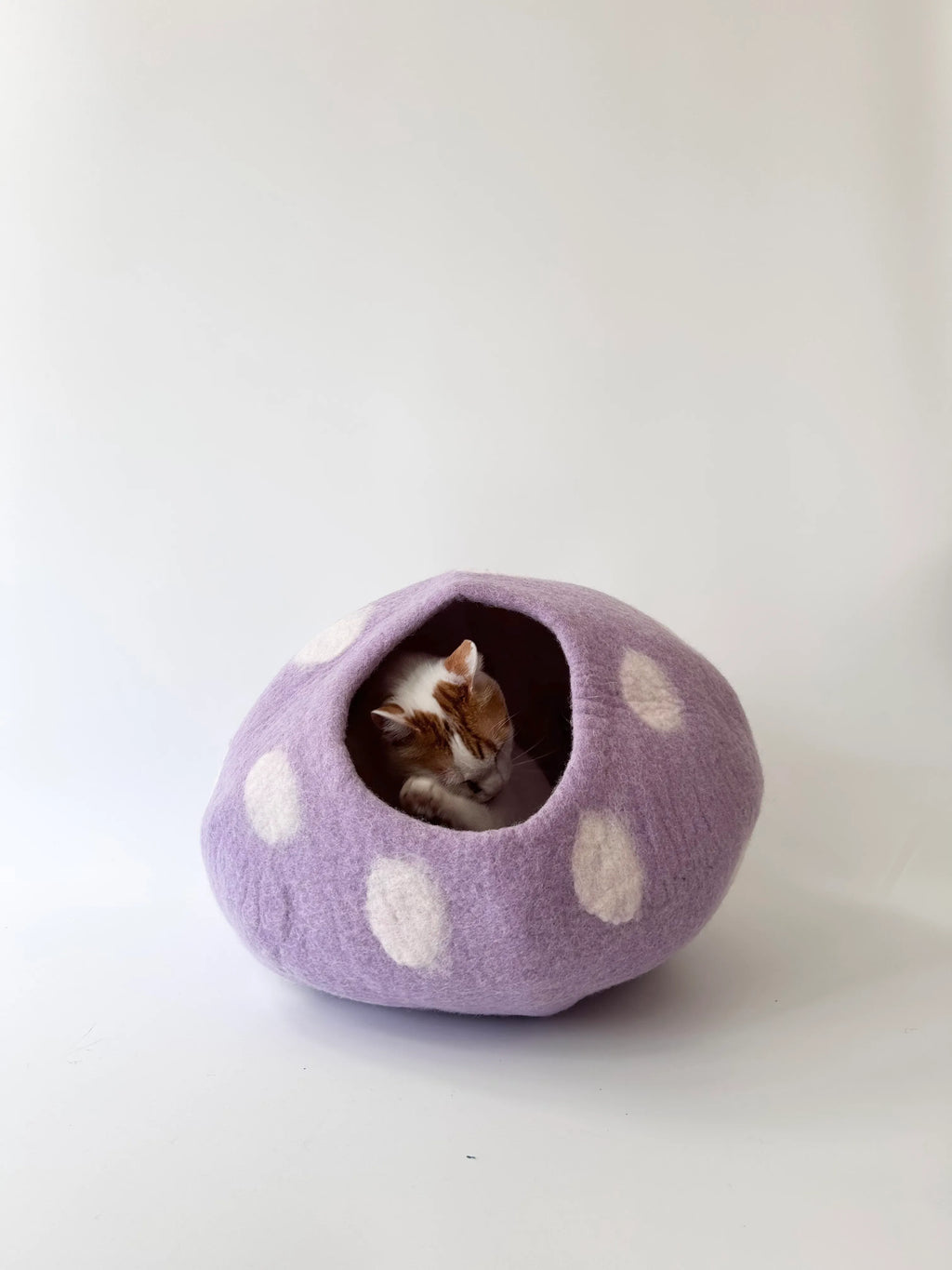 Taro Bobo | Natural Wool Felt Cat Cave