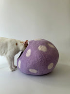 Taro Bobo | Natural Wool Felt Cat Cave