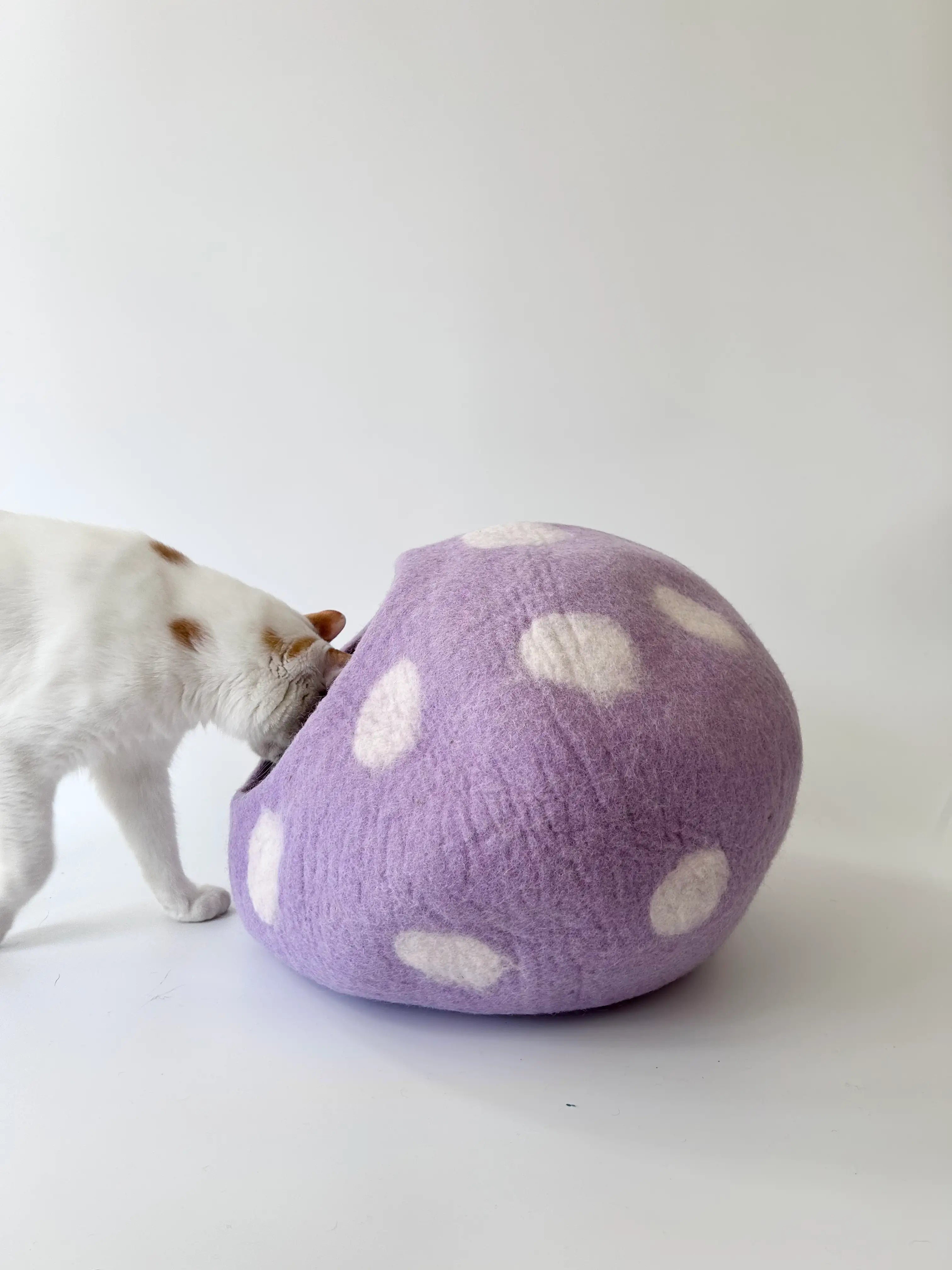 Taro Bobo | Natural Wool Felt Cat Cave