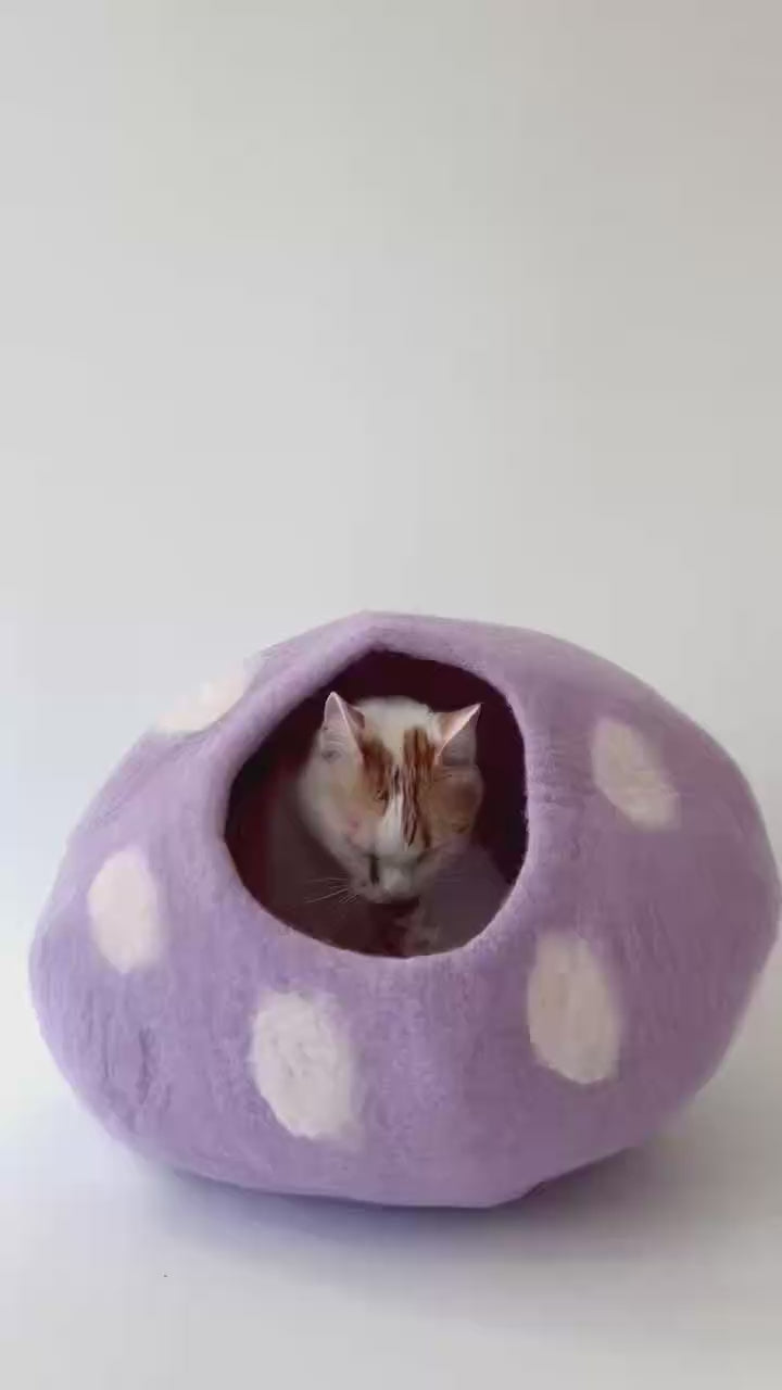Taro Bobo | Natural Wool Felt Cat Cave