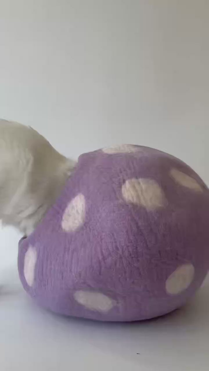 Taro Bobo | Natural Wool Felt Cat Cave